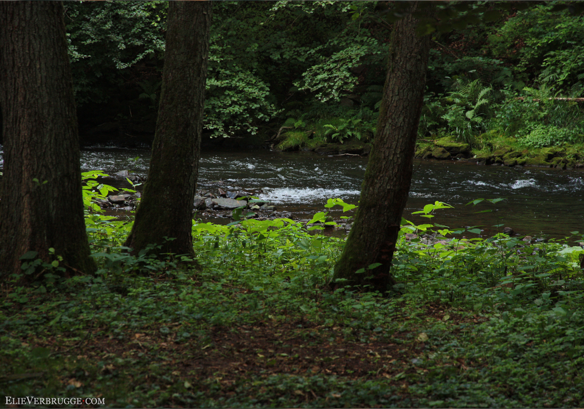 2019-08-19_Kyllburg_by_ElieVerbrugge_WIP01_WEB.jpg